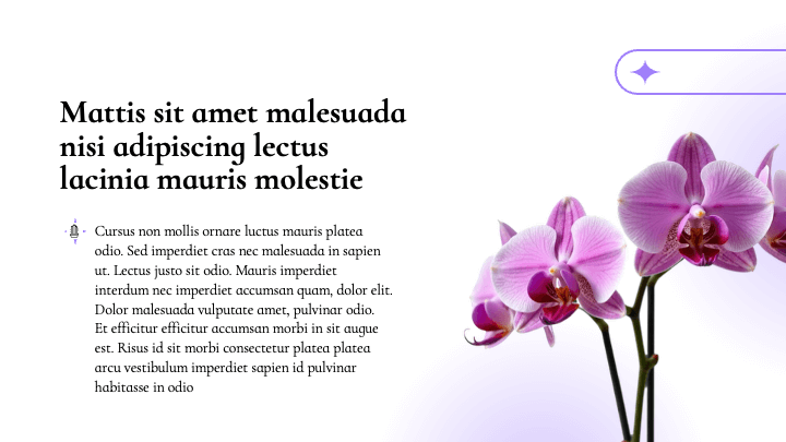 Stellar Blossom Purple Vibrant slide 5